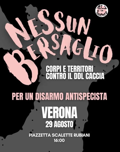 Presidio - Per un disarmo antispecista - contro il DDL caccia